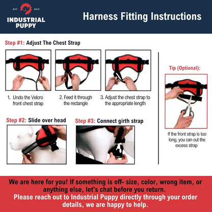 Service Dog Vest with Hook and Loop Straps and Matching Service Dog Leash Set - Harnesses from XXS to XXL - Service Dog Harness Features Reflective Patch and Comfortable Mesh Design
