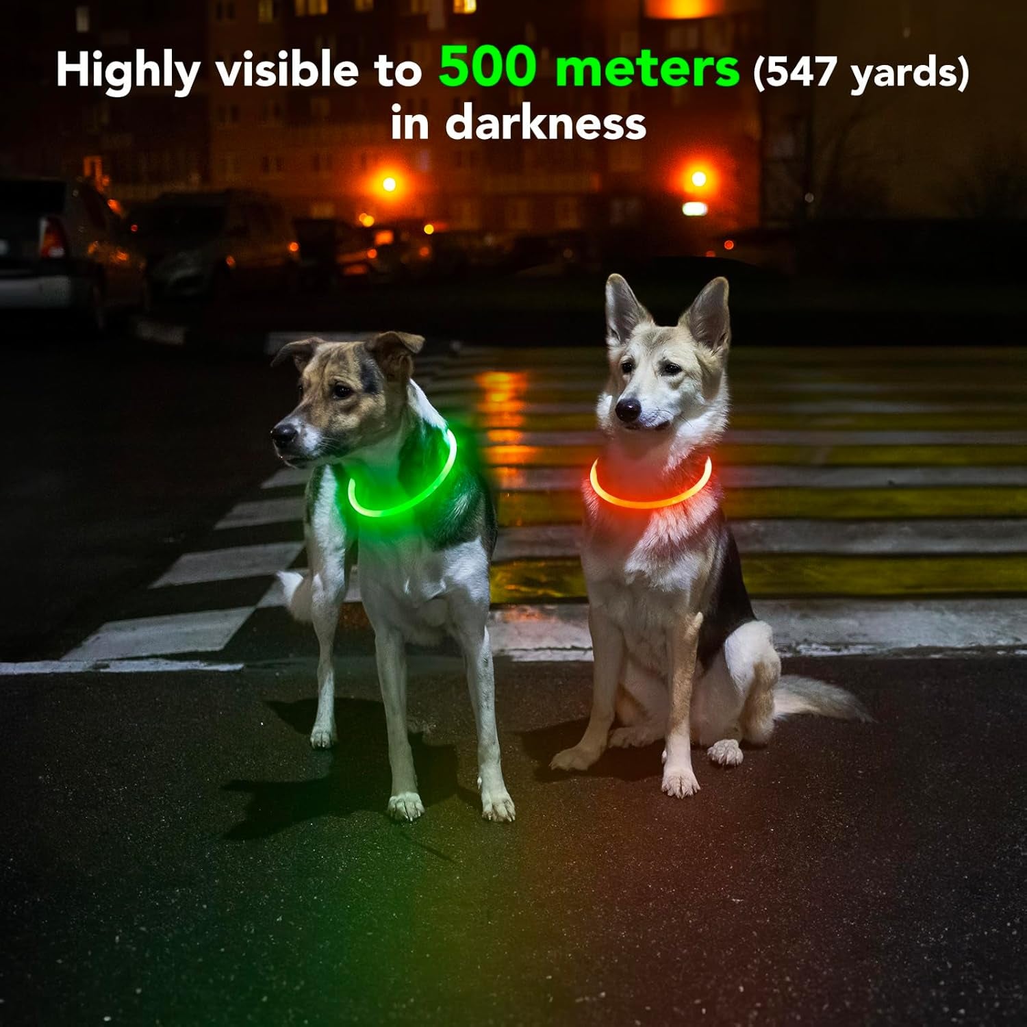 Led Dog Collar - Waterproof Lighted Pet Collar Rechargeable, TPU Cuttable Light up Doggie Collar for Small, Medium, Large Dogs Night Walking (Green)