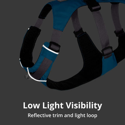 , Flagline Dog Harness, Lightweight and Reflective, No Pull Dog Lift Harness for Hiking, Running and Everyday Use, Alpenglow Pink, Xx-Small