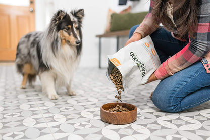 Special Diet All Life Stages Dry Dog Food, 15Lb., Salmon Meal & Brown Rice Recipe, Sensitive Skin and Stomach, Grain Free Dog Food