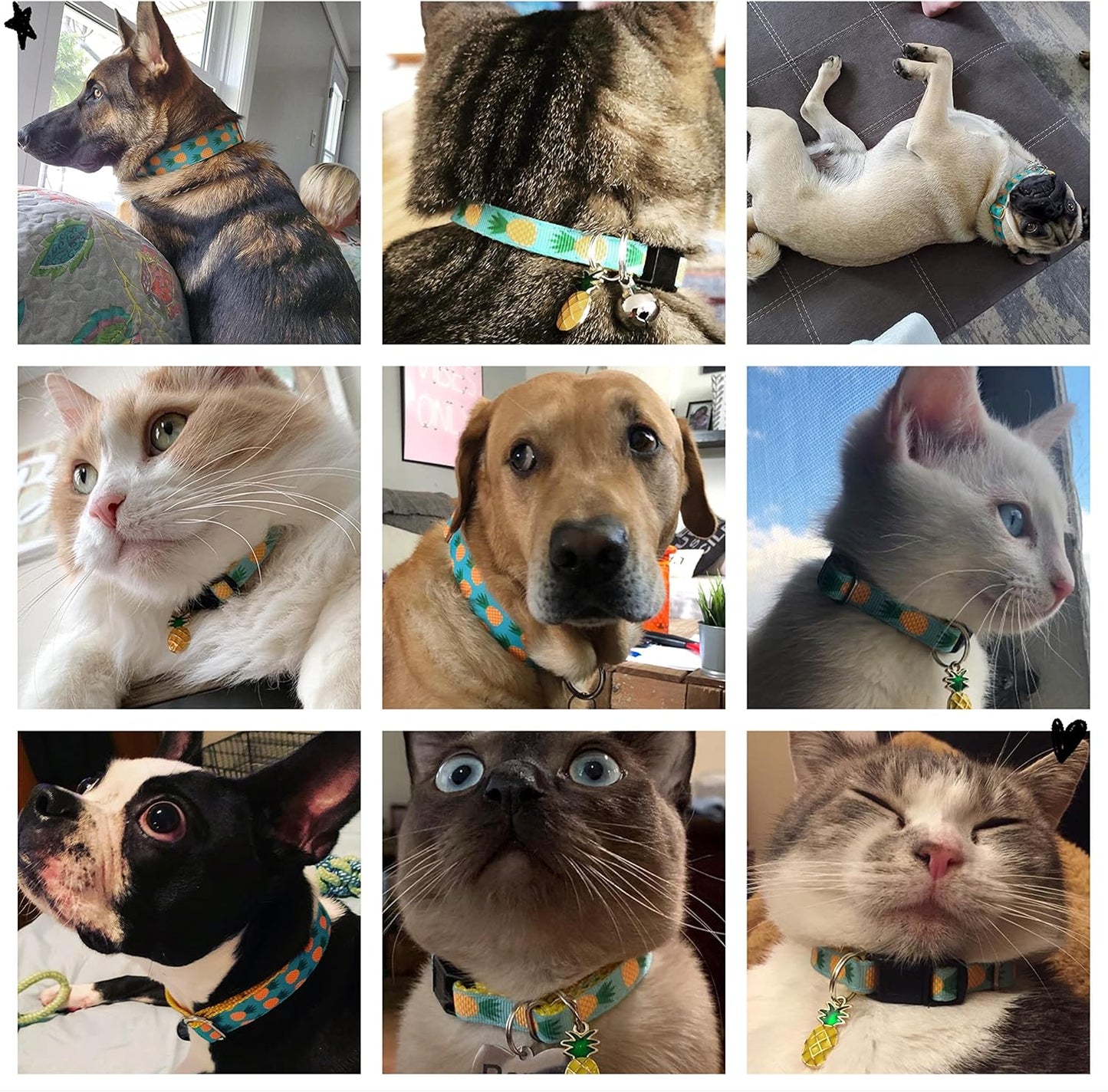 Pet Supplies, (Tropical Pineapple) Cat Collar, Dog Collar, Cat Leash, Dog Leash, Small Dog Collar, Medium Dog Collar, Large Dog Collar (Pet Collar, XS)