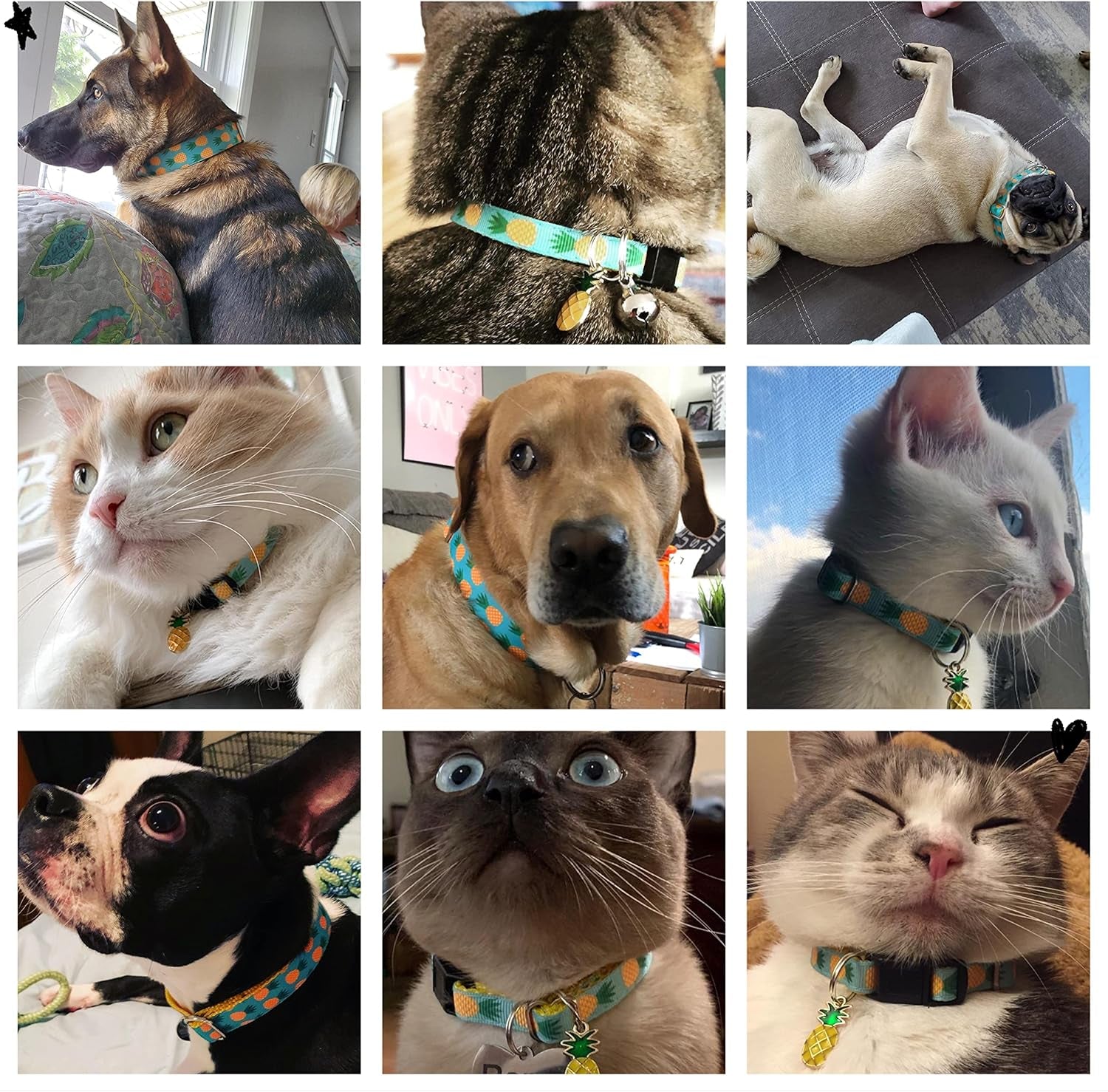 Pet Supplies, (Tropical Pineapple) Cat Collar, Dog Collar, Cat Leash, Dog Leash, Small Dog Collar, Medium Dog Collar, Large Dog Collar (Pet Collar, XS)