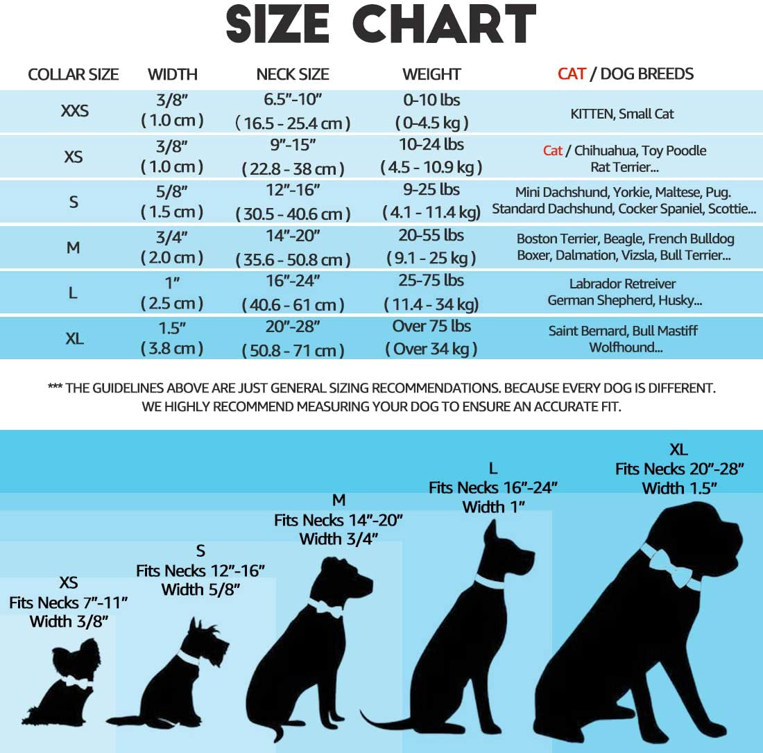 Pet Supplies, (Tropical Pineapple) Cat Collar, Dog Collar, Cat Leash, Dog Leash, Small Dog Collar, Medium Dog Collar, Large Dog Collar (Pet Collar, XS)