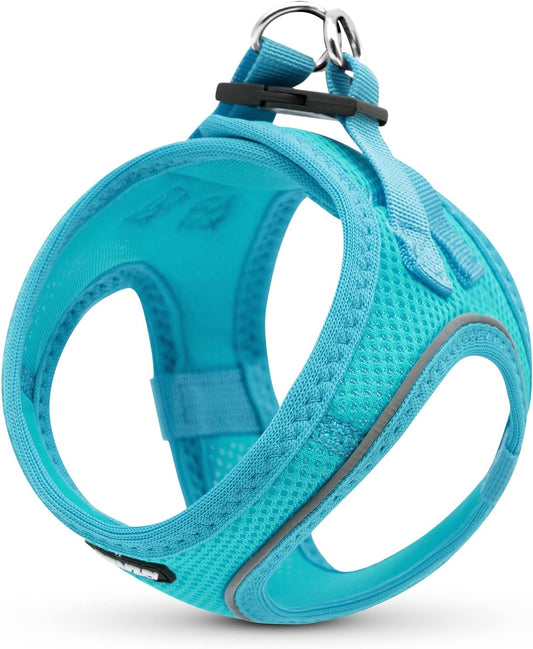 Dog Harness for Small Dogs - Reflective Soft Mesh Small Dog Vest Step-In Harness for Puppies - Teal Blue, XS: 15"-17"